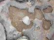 stones formed by the sea